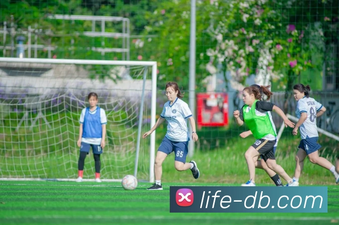 DB真人官网平台生态图