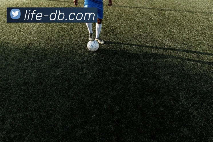 DB真人官网全站App