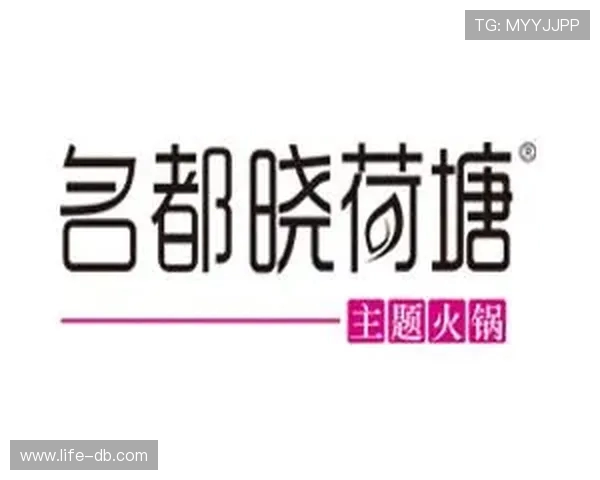 火锅局每人三样东西游戏规则全解析与互动技巧分享