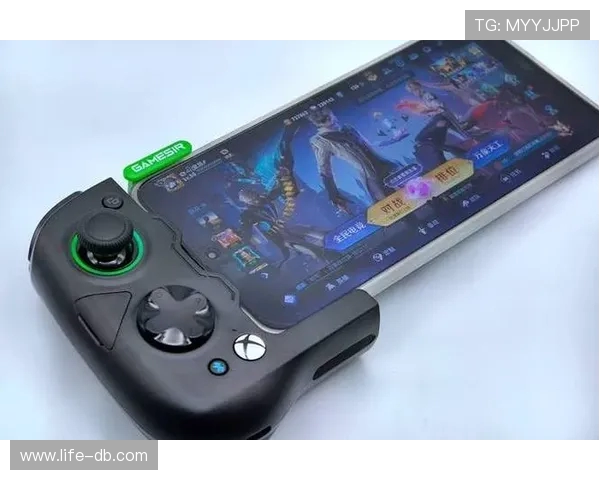 仅售手柄玩手机游戏是否可行 专业分析与市场前景探讨